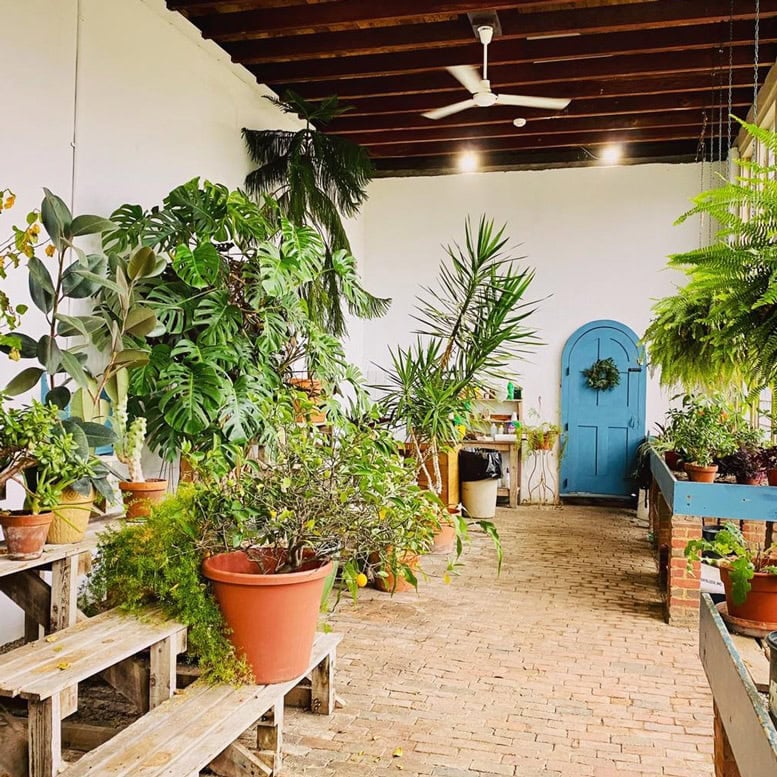 Historic Zoar Village Garden House filled with potted plants